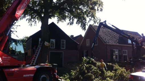 bomen rooien Bingelrade